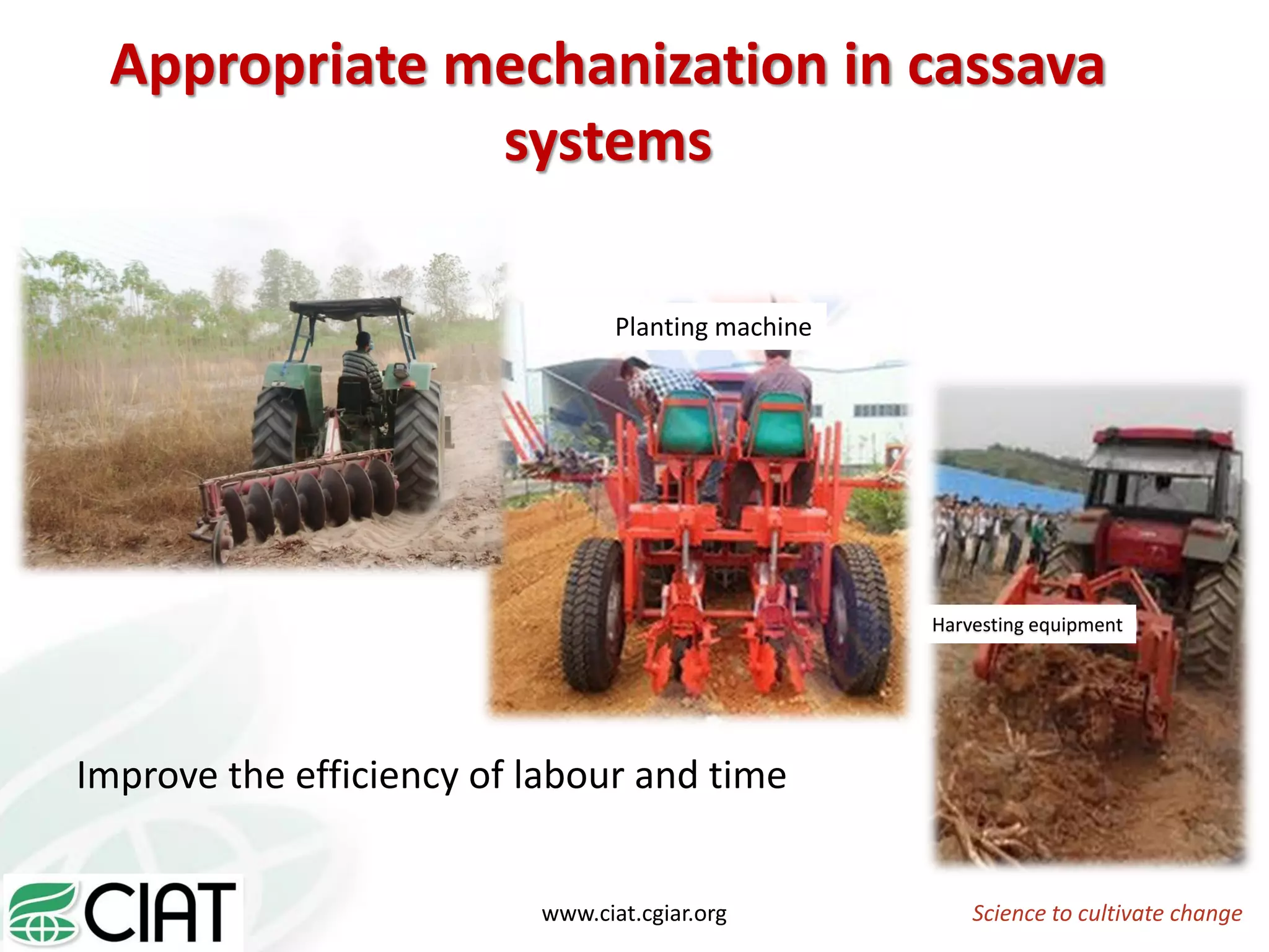Appropriate mechanization in cassava
systems
Improve the efficiency of labour and time
Science to cultivate changewww.ciat.cgiar.org
Harvesting equipment
Planting machine
 