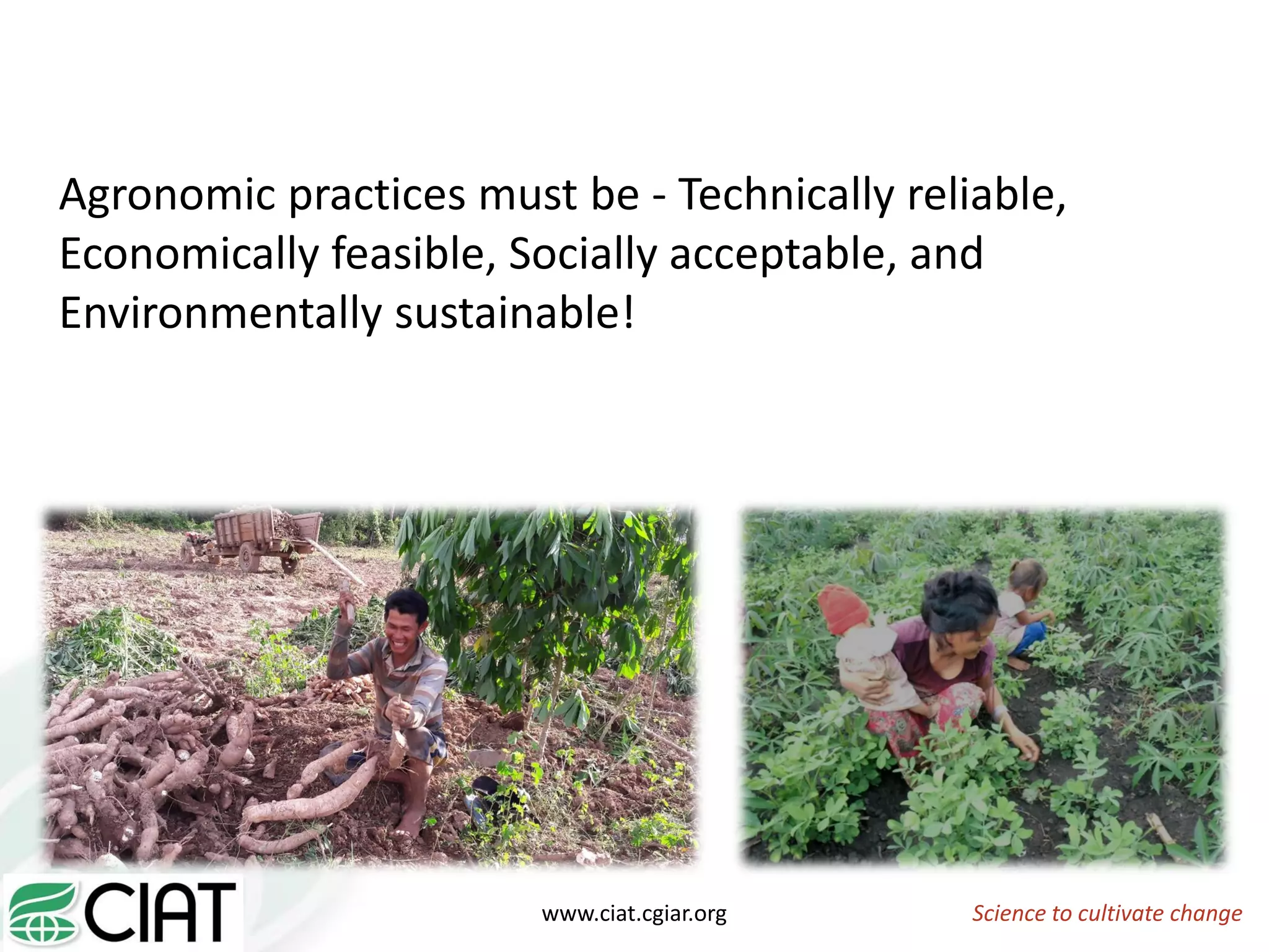 Science to cultivate changewww.ciat.cgiar.org
Agronomic practices must be - Technically reliable,
Economically feasible, Socially acceptable, and
Environmentally sustainable!
 