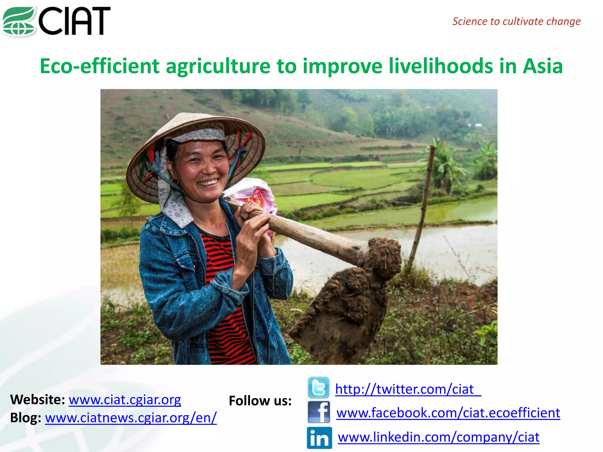 Eco-efficient agriculture to improve livelihoods in Asia
Follow us:Website: www.ciat.cgiar.org
Blog: www.ciatnews.cgiar.org/en/
http://twitter.com/ciat_
http://
www.facebook.com/ciat.ecoefficient
Science to cultivate change
www.linkedin.com/company/ciat
 