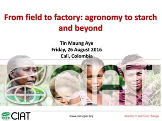 www.ciat.cgiar.org Science to cultivate change
From field to factory: agronomy to starch
and beyond
Tin Maung Aye
Friday, 26 August 2016
Cali, Colombia
 