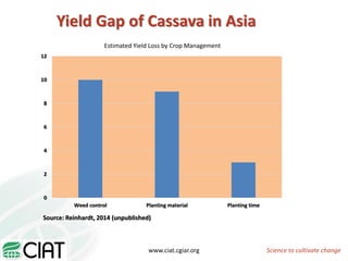 From field to factory: agronomy to starch and beyond