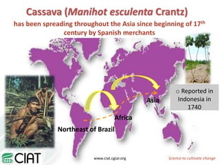 From field to factory: agronomy to starch and beyond