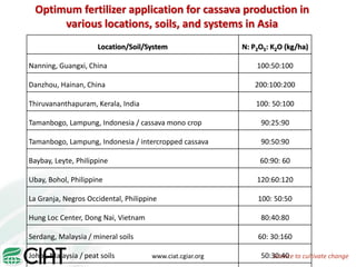 From field to factory: agronomy to starch and beyond