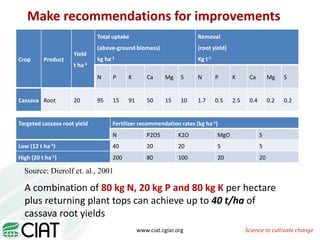 From field to factory: agronomy to starch and beyond