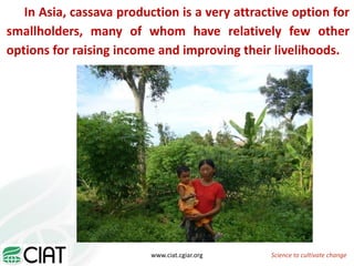 From field to factory: agronomy to starch and beyond