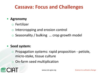 From field to factory: agronomy to starch and beyond