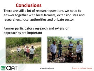 From field to factory: agronomy to starch and beyond