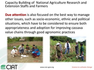 From field to factory: agronomy to starch and beyond