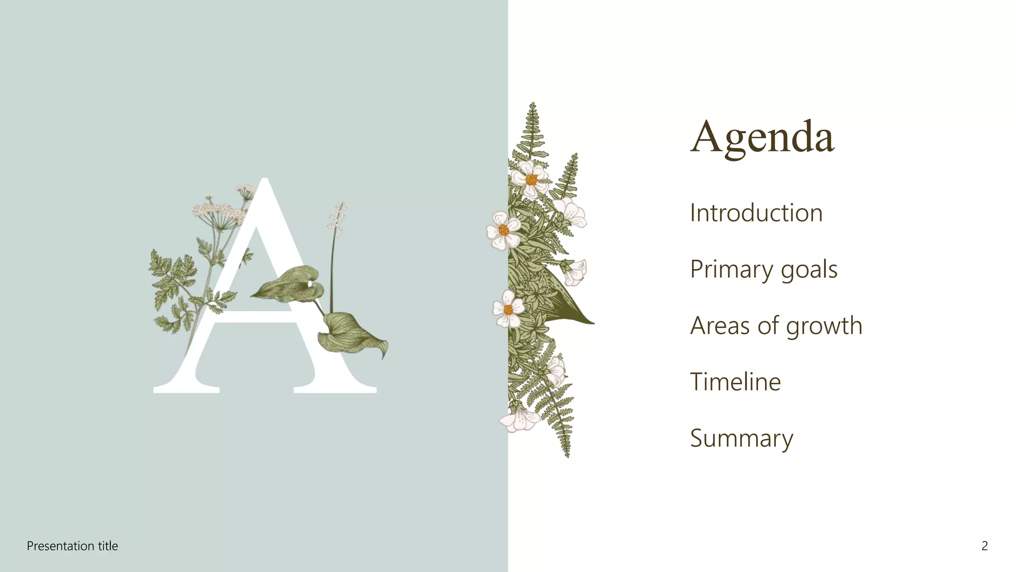 Agenda
Introduction
Primary goals
Areas of growth
Timeline
Summary
Presentation title 2
 