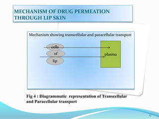 Translabial drug delivery system | PPTX