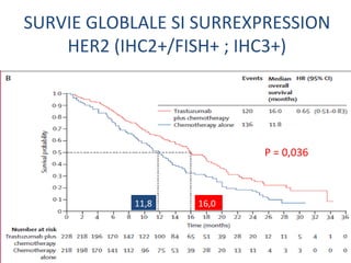 SURVIE GLOBLALE SI SURREXPRESSION
    HER2 (IHC2+/FISH+ ; IHC3+)




                         P = 0,036



           11,8   16,0
 