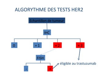 ALGORYTHME DES TESTS HER2
        Echantillon de tumeur


                   IHC


0          +1            +2              +3


            FISH
                              éligible au trastuzumab
    -                +
 