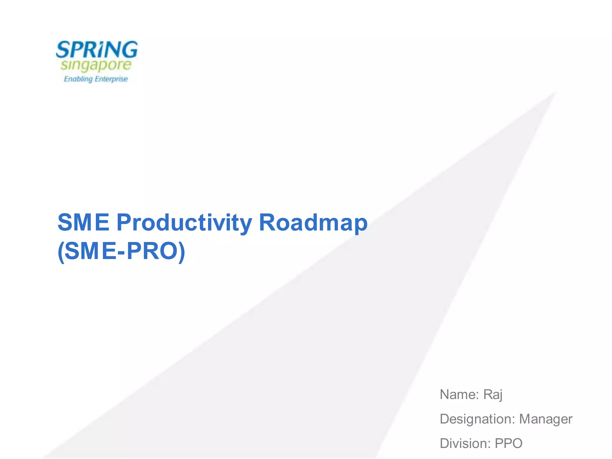 SME Productivity Roadmap (SME-PRO)Name: RajDesignation: ManagerDivision: PPO