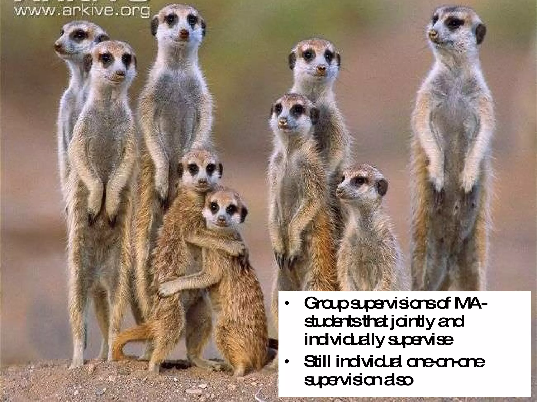 Group supervisions of MA-students that jointly and individually supervise Still individual one-on-one supervision also 