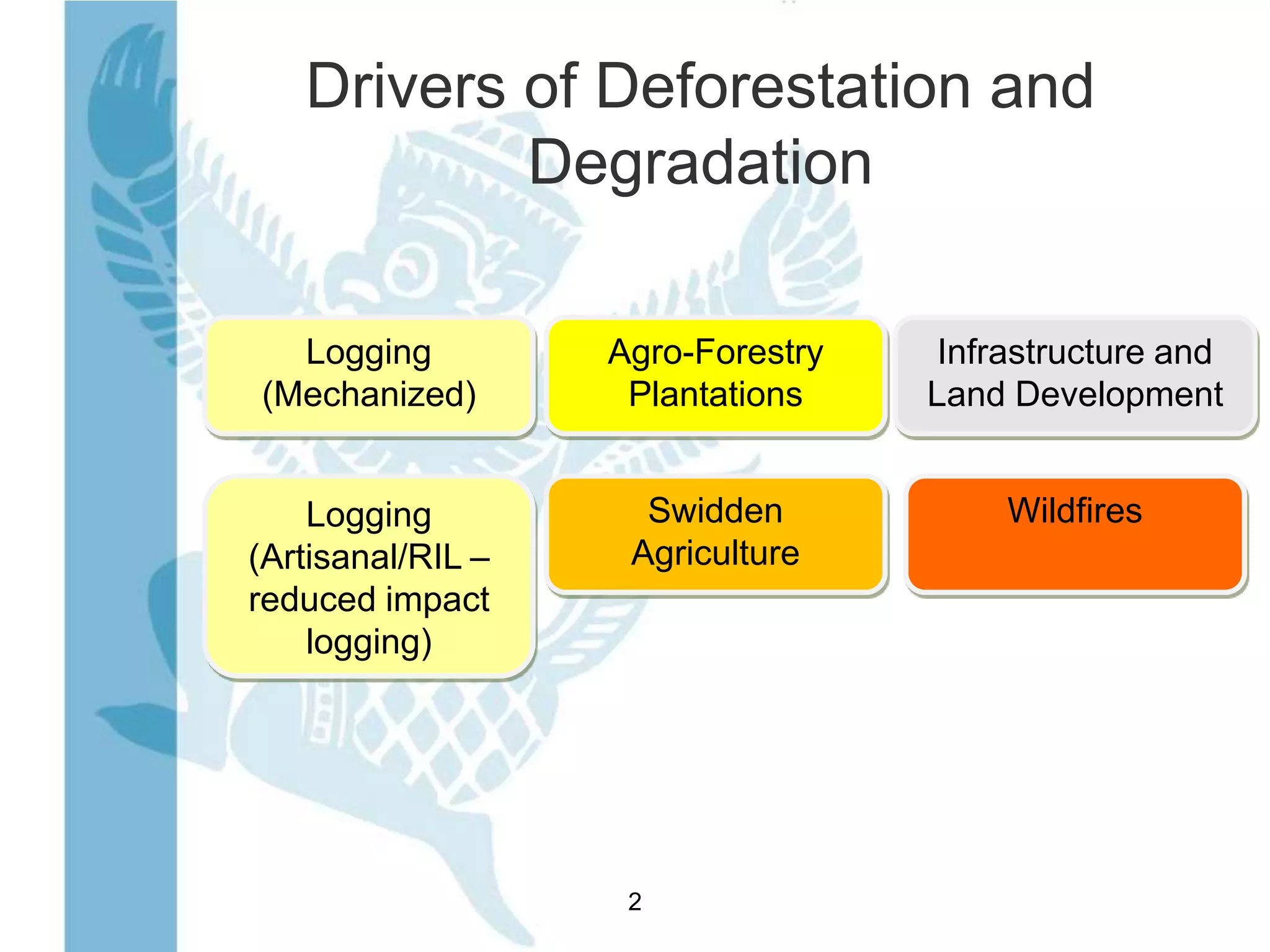 Mapping Forest Loss and Degradation Using Satellite Imagery | PPTX