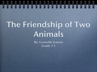 The Friendship of Two
       Animals
      By: Corneille Irawan
           Grade 7.1
 