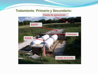 Tratamiento Primario y Secundario:
                Caseta de operaciones



         RAFP


                                        Chimenea
     FAFA




                            Caseta de bomba
 