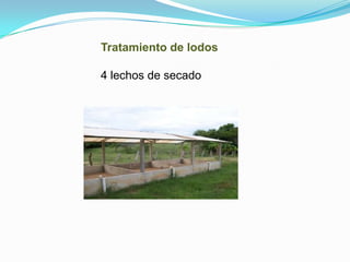 Tratamiento de lodos

4 lechos de secado
 
