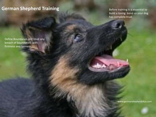 German Shepherd Training Before training it is essential to
build a loving bond so your dog
has complete trust.
Define Boundaries and treat any
breach of boundaries with
firmness and fairness.
www.germanshepherds4us.com
 