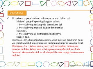 Eksositosis
 Eksositosis dapat diartikan, keluarnya zat dari dalam sel.
Molekul yang dilepas digolongkan dalam:
1. Molekul yang terikat pada permukaan sel
2. Molekul yang menjadi bagian dari matriks
ekstra sel.
3. Molekul yang di ekstrasel menjadi sinyal
bagi sel lain.
Eksositosis terjadi apabila terdapat molekul-molekul berukuran besar
yang tidak dapat ditransportasikan melalui mekanisme transpor pasif.
Eksositosis (ex = keluar dari, cytos = sel) merupakan mekanisme
transpor molekul keluar dari sel dengan cara membentuk vesikula.
Suatu sel akan membentuk vesikula apabila akan mengeluarkan suatu
molekul.
 