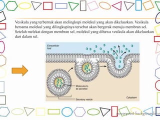 Vesikula yang terbentuk akan melingkupi molekul yang akan dikeluarkan. Vesikula
bersama molekul yang dilingkupinya tersebut akan bergerak menuju membran sel.
Setelah melekat dengan membran sel, molekul yang dibawa vesikula akan dikeluarkan
dari dalam sel.
 