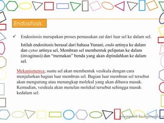 Endositosis
 Endositosis merupakan proses pemasukan zat dari luar sel ke dalam sel.
Istilah endositosis berasal dari bahasa Yunani, endo artinya ke dalam
dan cytos artinya sel, Membran sel membentuk pelipatan ke dalam
(invaginasi) dan “memakan” benda yang akan dipindahkan ke dalam
sel.
Mekanismenya, suatu sel akan membentuk vesikula dengan cara
menjulurkan bagian luar membran sel. Bagian luar membran sel tersebut
akan mengurung atau menangkap molekul yang akan dibawa masuk.
Kemudian, vesikula akan menelan molekul tersebut sehingga masuk
kedalam sel.
 