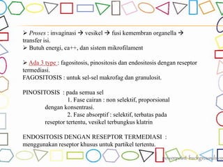  Proses : invaginasi  vesikel  fusi kemembran organella 
transfer isi.
 Butuh energi, ca++, dan sistem mikrofilament
 Ada 3 type : fagositosis, pinositosis dan endositosis dengan reseptor
termediasi.
FAGOSITOSIS : untuk sel-sel makrofag dan granulosit.
PINOSITOSIS : pada semua sel
1. Fase cairan : non selektif, proporsional
dengan konsentrasi.
2. Fase absorptif : selektif, terbatas pada
reseptor tertentu, vesikel terbungkus klatrin
ENDOSITOSIS DENGAN RESEPTOR TERMEDIASI :
menggunakan reseptor khusus untuk partikel tertentu.
 