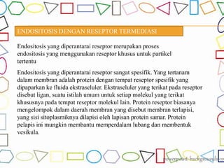 ENDOSITOSIS DENGAN RESEPTOR TERMEDIASI
Endositosis yang diperantarai reseptor merupakan proses
endositosis yang menggunakan reseptor khusus untuk partikel
tertentu
Endositosis yang diperantarai reseptor sangat spesifik. Yang tertanam
dalam membran adalah protein dengan tempat reseptor spesifik yang
dipaparkan ke fluida ekstraseluler. Ekstraseluler yang terikat pada reseptor
disebut ligan, suatu istilah umum untuk setiap molekul yang terikat
khususnya pada tempat reseptor molekul lain. Protein reseptor biasanya
mengelompok dalam daerah membran yang disebut membran terlapisi,
yang sisi sitoplasmiknya dilapisi oleh lapisan protein samar. Protein
pelapis ini mungkin membantu memperdalam lubang dan membentuk
vesikula.
 