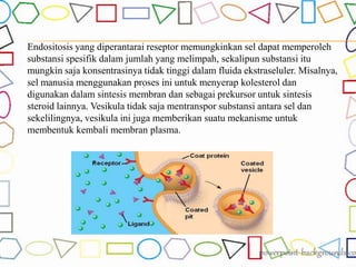 Endositosis yang diperantarai reseptor memungkinkan sel dapat memperoleh
substansi spesifik dalam jumlah yang melimpah, sekalipun substansi itu
mungkin saja konsentrasinya tidak tinggi dalam fluida ekstraseluler. Misalnya,
sel manusia menggunakan proses ini untuk menyerap kolesterol dan
digunakan dalam sintesis membran dan sebagai prekursor untuk sintesis
steroid lainnya. Vesikula tidak saja mentranspor substansi antara sel dan
sekelilingnya, vesikula ini juga memberikan suatu mekanisme untuk
membentuk kembali membran plasma.
 