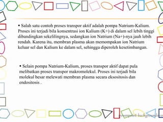  Salah satu contoh proses transpor aktif adalah pompa Natrium-Kalium.
Proses ini terjadi bila konsentrasi ion Kalium (K+) di dalam sel lebih tinggi
dibandingkan sekelilingnya, sedangkan ion Natrium (Na+)-nya jauh lebih
rendah. Karena itu, membran plasma akan memompakan ion Natrium
keluar sel dan Kalium ke dalam sel, sehingga diperoleh kesetimbangan.
 Selain pompa Natrium-Kalium, proses transpor aktif dapat pula
melibatkan proses transpor makromolekul. Proses ini terjadi bila
molekul besar melewati membran plasma secara eksositosis dan
endositosis .
 
