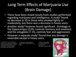 Long Term Effects of Marijuana Use
                         (Brain Damage)
         • There have been mixed results from studies performed
           regarding marijuana and intelligence. A study5 found
           no decrease in IQ in those who smoked lightly or
           moderately, but there was a decrease in heavy users.
         • Another study6 however found significant shrinkage in
           the hippocampus (12%, controls memory and emotion)
           and the amygdala (7.1%, controls fear and aggression).
         • However a separate study7 found that any damage is
           reversible except in heavy users.
5. Fried, Peter. “Current and former       6. “Heavy pot smoking linked to        7. Bolla KI. “Dose-related
marijuana use: preliminary findings of a   smaller brains.” New Scientist, June   neurocognitive effects of
longitudinal study of effects on IQ in     2008.                                  marijuana use.”
young adults.” Canadian Medical                                                   Neurology, November 2002.
Association Journal, April 2002.
 
