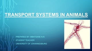 TRANSPORT SYSTEMS IN ANIMALS
PREPARED BY: MBATSANE N.N
STUDENT TEACHER
UNIVERSITY OF JOHANNESBURG
 