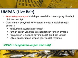 UMPAN (Live Bait)
- Keterbatasan umpan adalah permasalahan utama yang dihadapi
oleh nelayan P/L.
- Diantaranya, penyebab keterbatasan umpan adalah sebagai
berikut :
• Konsumsi masyarakat setempat
• Jumlah bagan yang tidak sesuai dengan jumlah armada
• Penyusutan jenis species yang dapat dijadikan umpan
• Lokasi penangkapan umpan yang sangat terbatas
SOLUSI : Pengadaan umpan alternatif
 