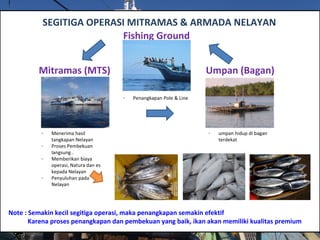 SEGITIGA OPERASI MITRAMAS & ARMADA NELAYAN
Fishing Ground
Mitramas (MTS) Umpan (Bagan)
- Menerima hasil
tangkapan Nelayan
- Proses Pembekuan
langsung .
- Memberikan biaya
operasi, Natura dan es
kepada Nelayan
- Penyuluhan pada
Nelayan
- umpan hidup di bagan
terdekat
- Penangkapan Pole & Line
Note : Semakin kecil segitiga operasi, maka penangkapan semakin efektif
Karena proses penangkapan dan pembekuan yang baik, ikan akan memiliki kualitas premium
 