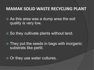  As this area was a dump area the soil
quality is very low.
 So they cultivate plants without land.
 They put the seeds in bags with inorganic
substrats like perlit.
 Or they use water cultures.
MAMAK SOLID WASTE RECYCLING PLANT
 
