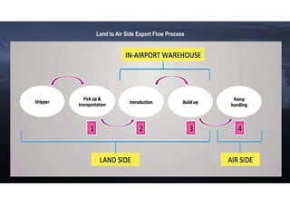OVERVIEW OF A CARGO TRANSPORT RPAS INSERTION IN NON-SEGREGATED AIRSPACE ...