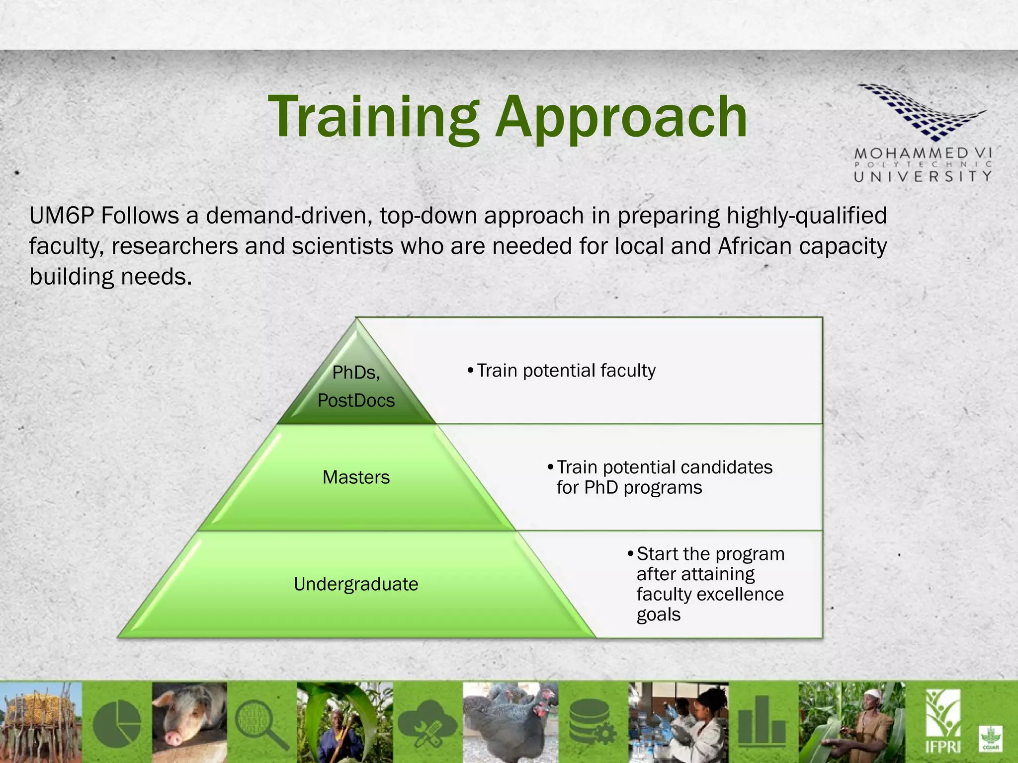 Training Approach
UM6P Follows a demand-driven, top-down approach in preparing highly-qualified
faculty, researchers and scientists who are needed for local and African capacity
building needs.
•Train potential facultyPhDs,
PostDocs
•Train potential candidates
for PhD programs
Masters
•Start the program
after attaining
faculty excellence
goals
Undergraduate
 