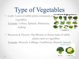  understanding vegetables&Salad