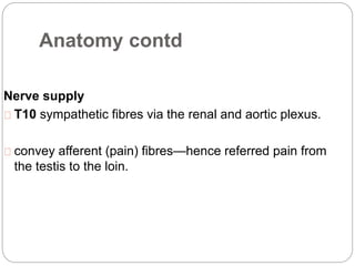 Anatomy contd
Nerve supply
T10 sympathetic fibres via the renal and aortic plexus.
convey afferent (pain) fibres—hence referred pain from
the testis to the loin.
 