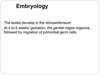 Embryology
The testes develop in the retroperitoneum
At 4 to 6 weeks' gestation, the genital ridges organize,
followed by migration of primordial germ cells
 