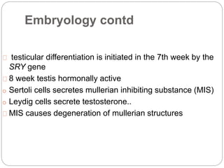 Embryology contd
testicular differentiation is initiated in the 7th week by the
SRY gene
8 week testis hormonally active
o Sertoli cells secretes mullerian inhibiting substance (MIS)
o Leydig cells secrete testosterone..
MIS causes degeneration of mullerian structures
 