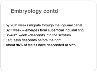 Embryology contd
by 28th weeks migrate through the inguinal canal
32nd week – emerges from superficial inguinal ring.
35-40th week –descends into the scrotum
Left testis descends before the right
About 96% of testes have descended at birth
 