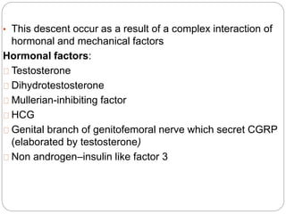 • This descent occur as a result of a complex interaction of
hormonal and mechanical factors
Hormonal factors:
Testosterone
Dihydrotestosterone
Mullerian-inhibiting factor
HCG
Genital branch of genitofemoral nerve which secret CGRP
(elaborated by testosterone)
Non androgen–insulin like factor 3
 
