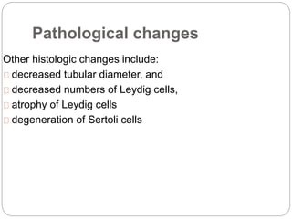 Pathological changes
Other histologic changes include:
decreased tubular diameter, and
decreased numbers of Leydig cells,
atrophy of Leydig cells
degeneration of Sertoli cells
 