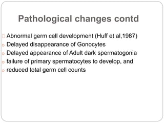 Pathological changes contd
Abnormal germ cell development (Huff et al,1987)
o Delayed disappearance of Gonocytes
o Delayed appearance of Adult dark spermatogonia
o failure of primary spermatocytes to develop, and
o reduced total germ cell counts
 
