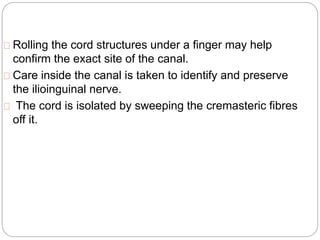 Rolling the cord structures under a finger may help
confirm the exact site of the canal.
Care inside the canal is taken to identify and preserve
the ilioinguinal nerve.
The cord is isolated by sweeping the cremasteric fibres
off it.
 