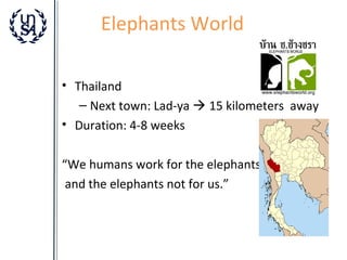 Elephants World
• Thailand
– Next town: Lad-ya  15 kilometers away
• Duration: 4-8 weeks
“We humans work for the elephants
and the elephants not for us.”

 