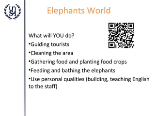 Elephants World
What will YOU do?
•Guiding tourists
•Cleaning the area
•Gathering food and planting food crops
•Feeding and bathing the elephants
•Use personal qualities (building, teaching English
to the staff)

 