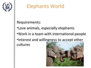 Elephants World
Requirements:
•Love animals, especially elephants
•Work in a team with international people
•Interest and willingness to accept other
cultures

 