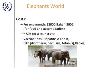 Elephants World
Costs:
– For one month: 12000 Baht ~ 300€
(for food and accomodation)
– ~ 50€ for a tourist visa
– Vaccinations (Hepatitis A and B,
DTP [diphtheria, pertussis, tetanus],Rabies)

 
